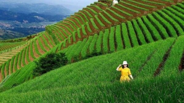 Pertanian Organik (2) : Apa yang Harus Disiapkan?