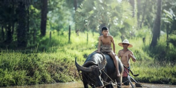 Petani Mandiri (2) : Dari Mana Mamulainya?