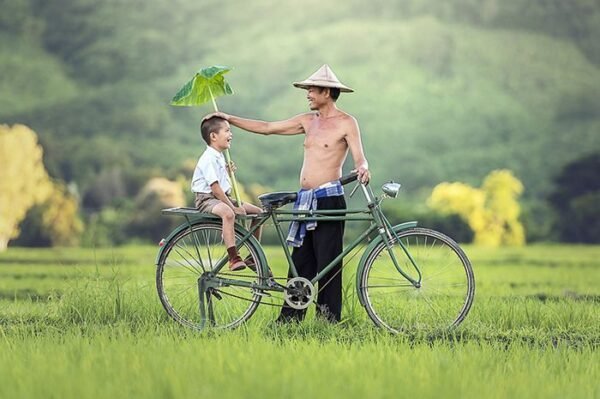 Petani Mandiri (1) : Terpaksa Jadi Kaya Raya hanya Mulai dengan Konsep 1.015 M2